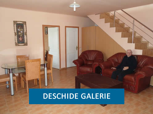 Deschide galerie